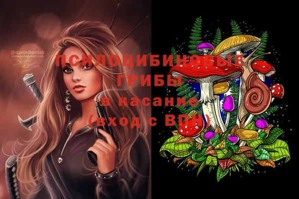 Альфа ПВП Осташков