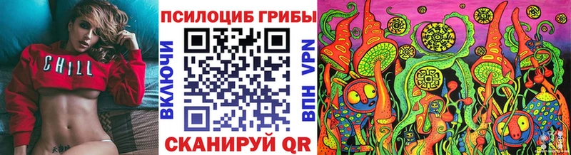 цены   Курчатов  Псилоцибиновые грибы GOLDEN TEACHER 
