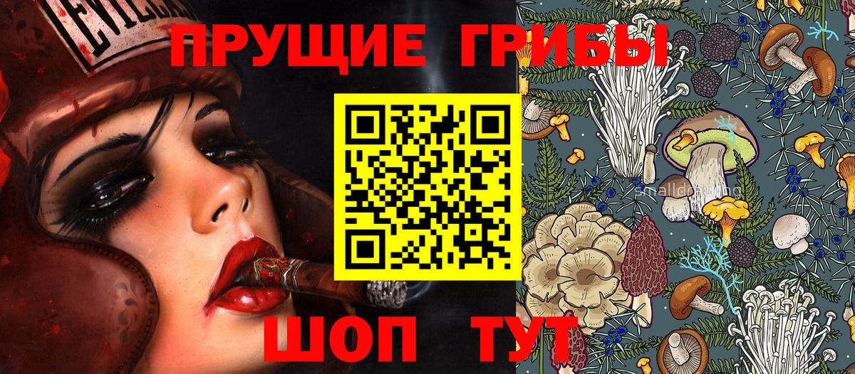 Псилоцибиновые грибы ЛСД Курчатов