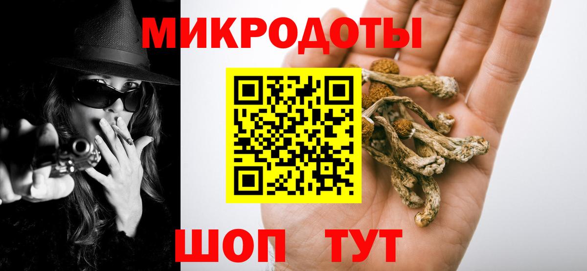 Курчатов  Псилоцибиновые грибы мухоморы  Вход с VPN  Галлюциногенные грибы Cubensis 