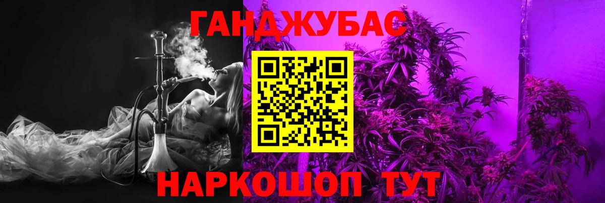 Каннабис сатива Курчатов